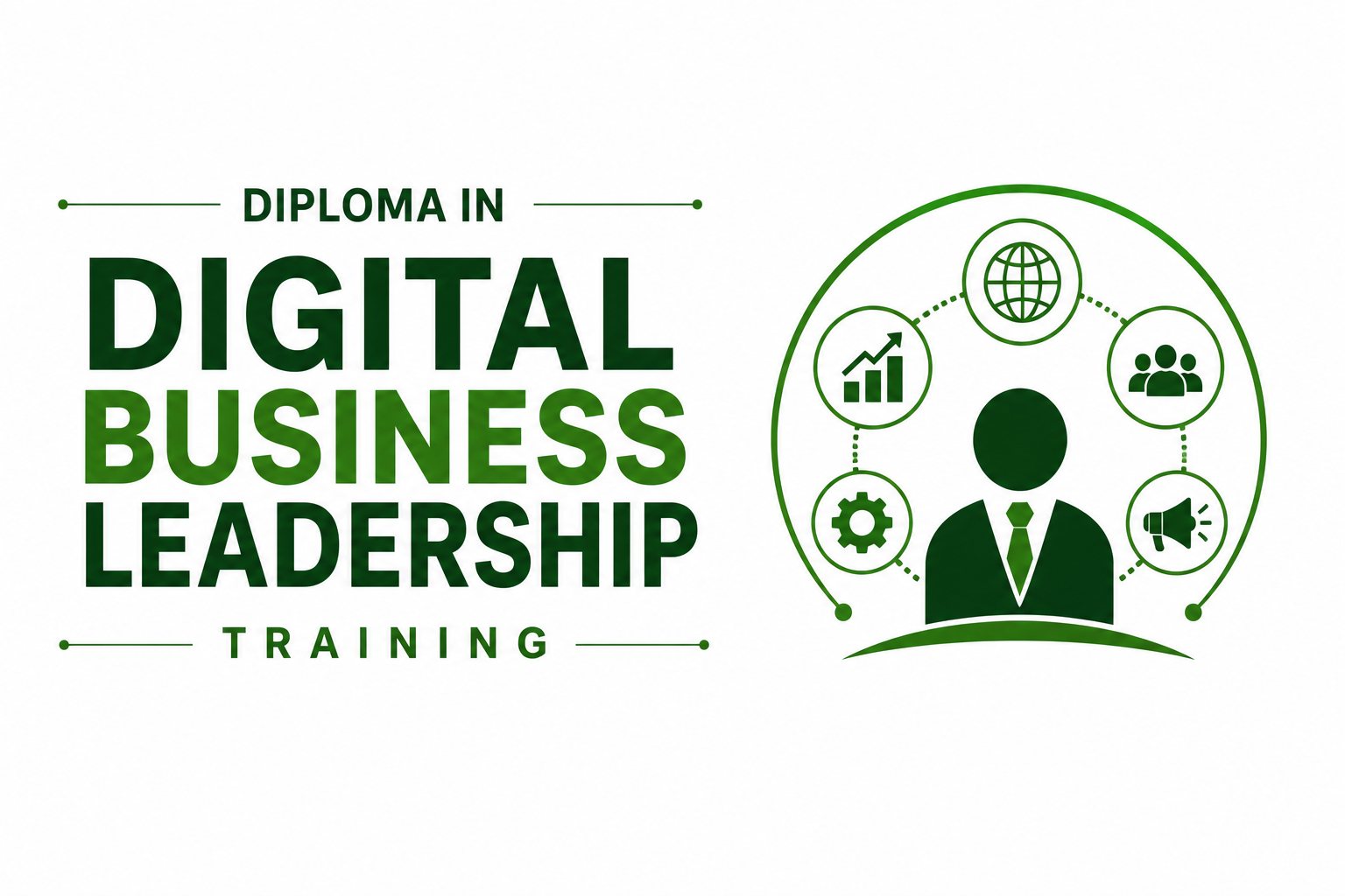 Diploma in Accounting & Information System